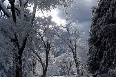 imagens jigsaw puzzle