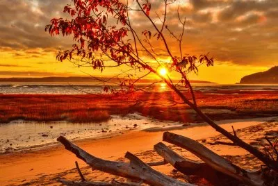 bhbhbhbhbhbhbgbhgvgh