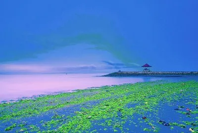 Bali 1 jigsaw puzzle