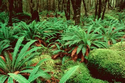 New Zealand