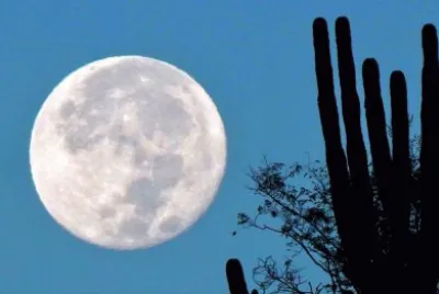 desert moon