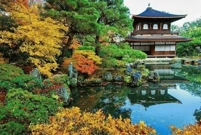 imagens jigsaw puzzle