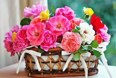 פאזל של cesto de flores