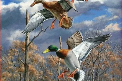PATOS