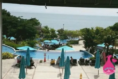 Durante nuestro viaje a PanamÃ¡ jigsaw puzzle