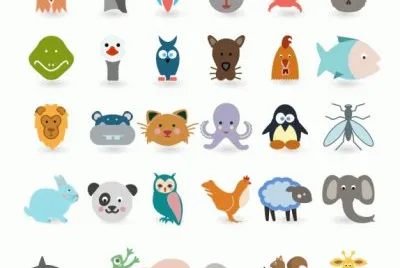 animales