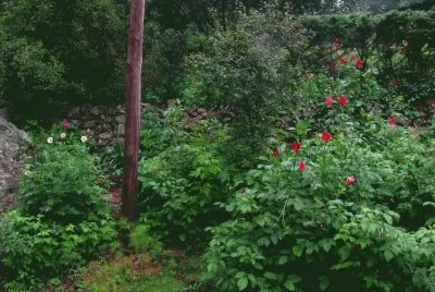 פאזל של En Calamuchita. CÃ³rdoba. Argentina