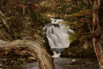 En Tierra del Fuego. Argentina