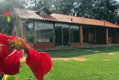 פאזל של arvore