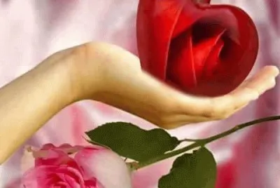 פאזל של imagens