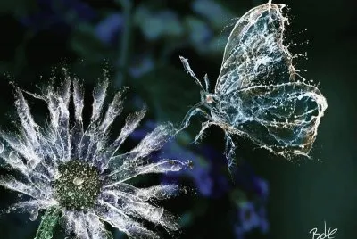 imagens jigsaw puzzle