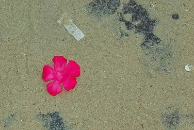 פאזל של konkret