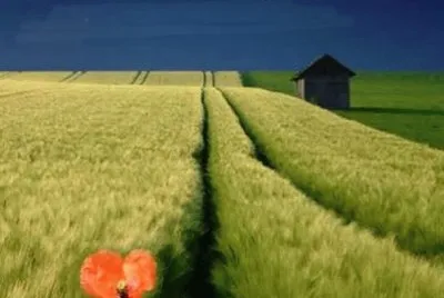green field under a blue sky jigsaw puzzle