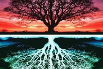 Tree of life