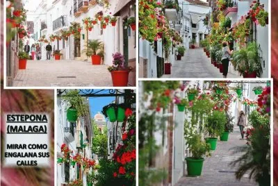 ESTEPONA (MALAGA) - MIRAR COMO ENGALANA SUS CALLES