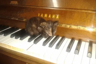Music
