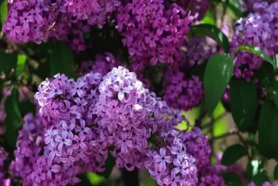 bÃ¼bÃ¼Ã¼bÃ¼Ã¼Ã¼bÃ¼Ã¼bÃ¼