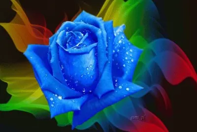 sqqsqsqssqsqqqqqqsqqs