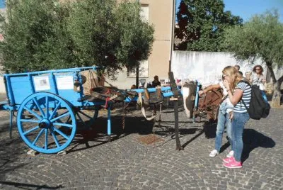sanluri2