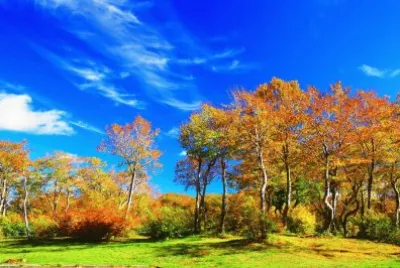 Paisatje jigsaw puzzle