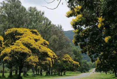 En la R338. TucumÃ¡n. Argentina jigsaw puzzle
