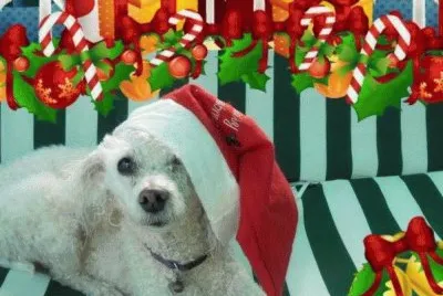NAVIDAD