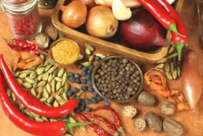 Aliments