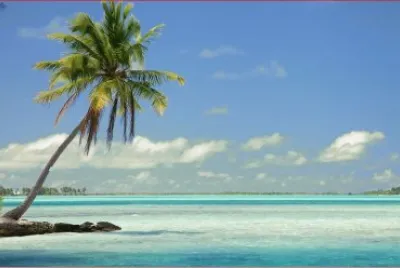 PALMERA jigsaw puzzle