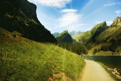 NATUREZA jigsaw puzzle