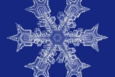copos de nieve