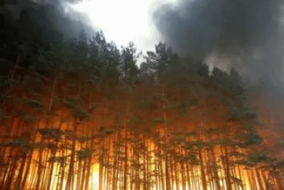 Fire
