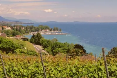vue jigsaw puzzle