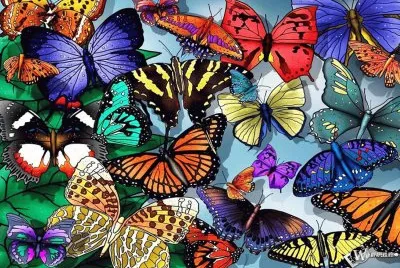 פאזל של mariposas