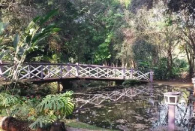 ponte