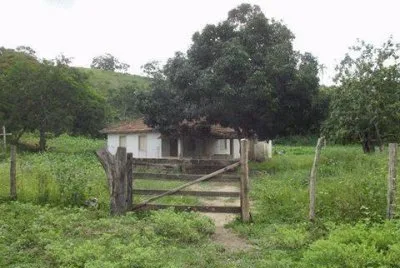 campo