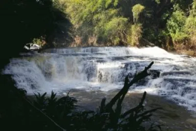 aguas