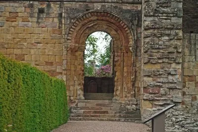 jetbug Abbey
