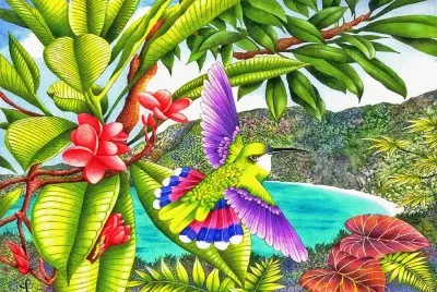 פאזל של pÃ¡jaros de colores
