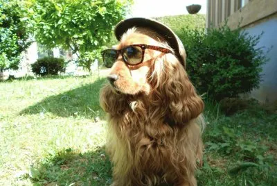 פאזל של Akina sous le soleil
