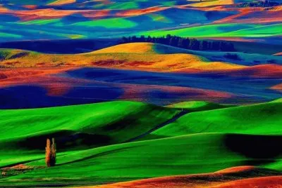 imagens jigsaw puzzle