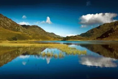 2929535035_6db3f33e36 (Large) jigsaw puzzle