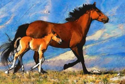 פאזל של mare with foal