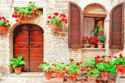 ventana con flores