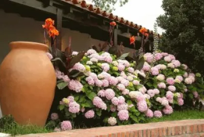 En la Ciudad de Salta. Argentina