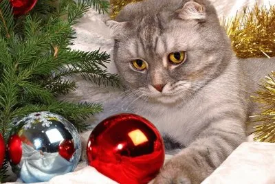 פאזל של Â¡ Feliz Navidad !