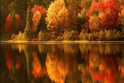 otoÃ±o