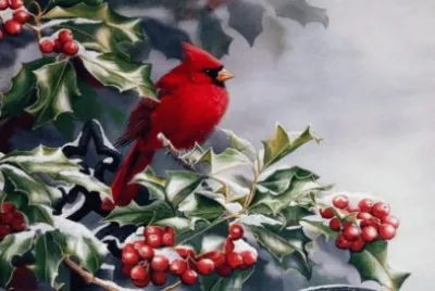 פאזל של Cardinal and Berries