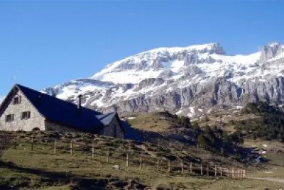 Bisaurin