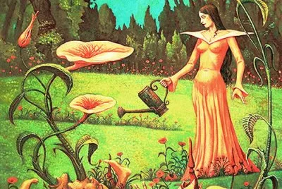 Michael Hutter