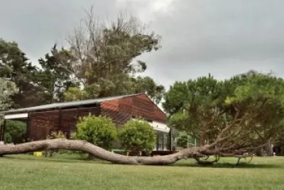 פאזל של no morirÃ¡ de pie